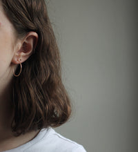 Load image into Gallery viewer, Hoop Earrings