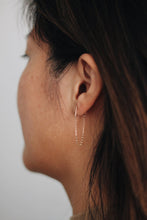 Load image into Gallery viewer, Drop Loop Earrings