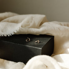 Load image into Gallery viewer, Spiral Studs